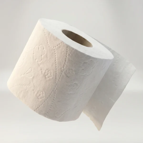Papier toilet