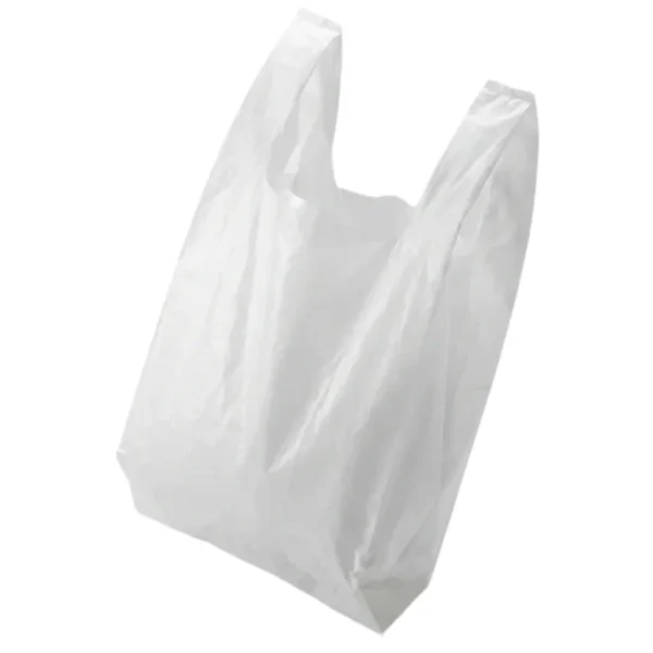 SAC PLASTIQUE REUTILISABLE GRAND