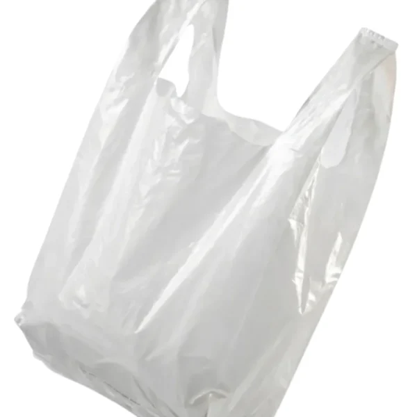 SAC PLASTIQUE REUTILISABLE MOYEN