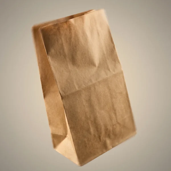 SAC SOS BRUN 18X11X34