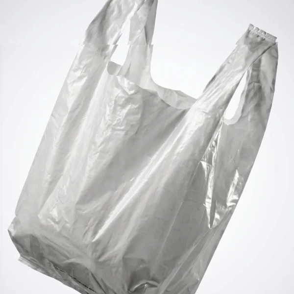Sac Bretelle Réutilisable Petit