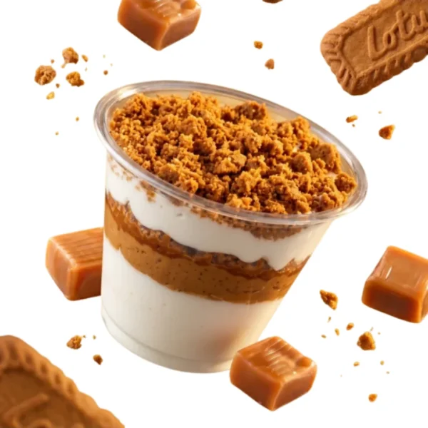 Tiramisu caramel beurre salé speculos (12x110g)